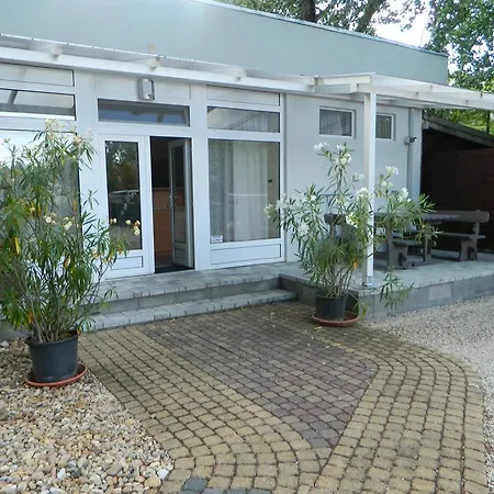 Kolor Apartman